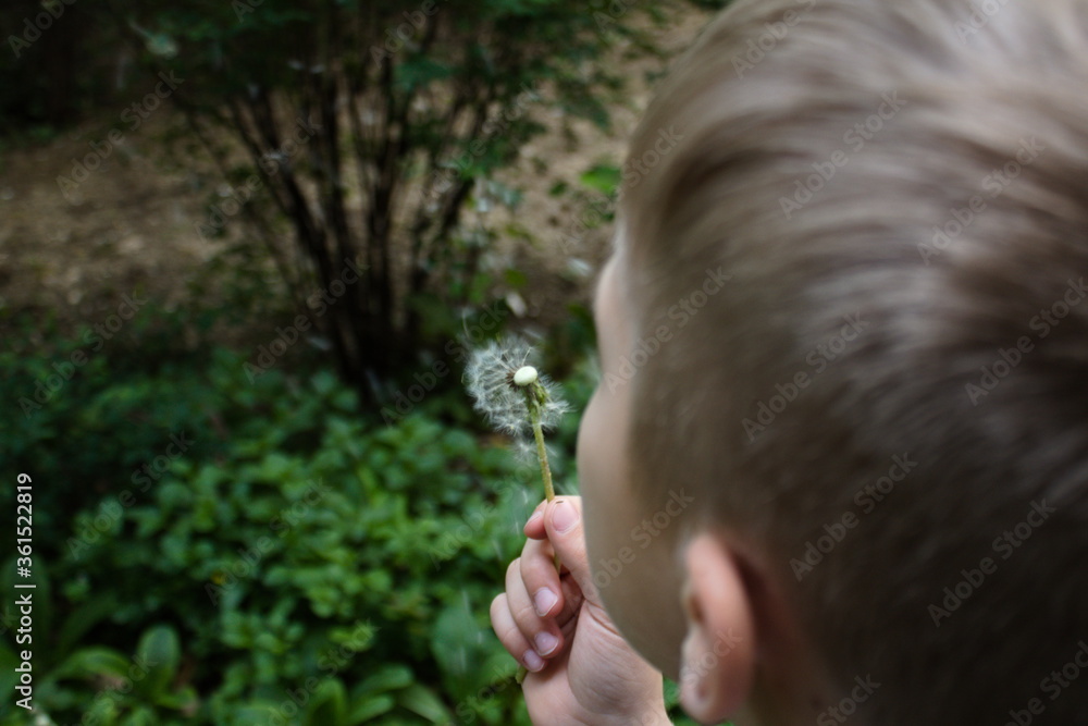 Junge pustet eine Pusteblume,
halb weggepustet Junge pustet eine Pusteblume,
halb weggepustet