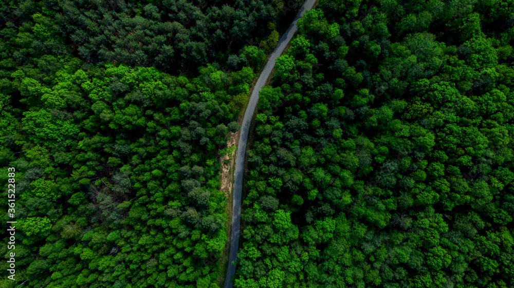Curvy Road Cut Trough Forest. Aerial Drone Top Down View Curvy Road Cut Trough Forest. Aerial Drone Top Down View