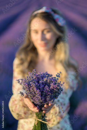 Lavender flowers bouquet close up in the purple floral fields