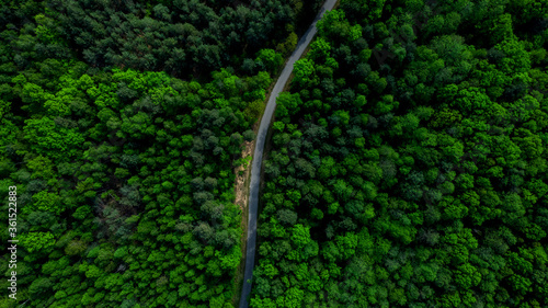 Curvy Road Cut Trough Forest. Aerial Drone Top Down View © marcin jucha