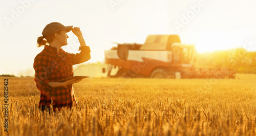 Fotografia Woman farmer with digital tablet on a background of harvester