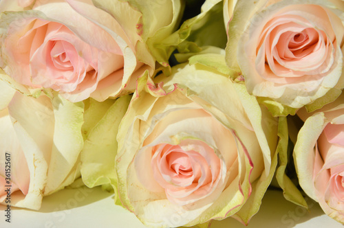beautiful delicate bouquet of flowers. wedding decoration. roses are pale pink.