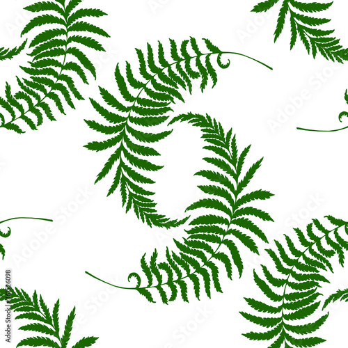 Vector seamless pattern : dark green curved fern branches with leaves . Hand drawn silhouettes . Botanical , natural design for wrapping paper, textile. wallpaper, decor.