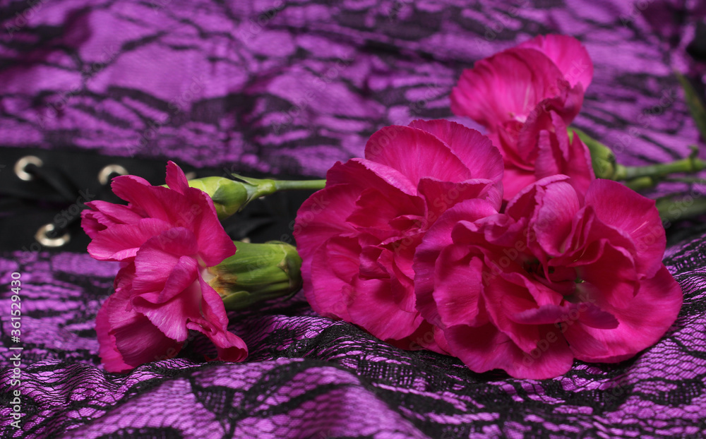 Pink Flowers on Purple and Black Fabric Pink Flowers on Purple and Black Fabric