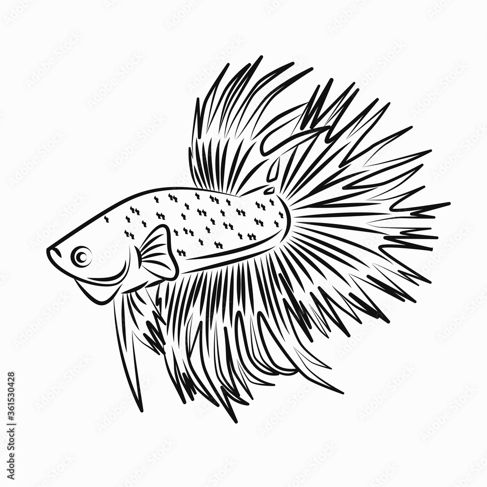 Betta Fish Drawing