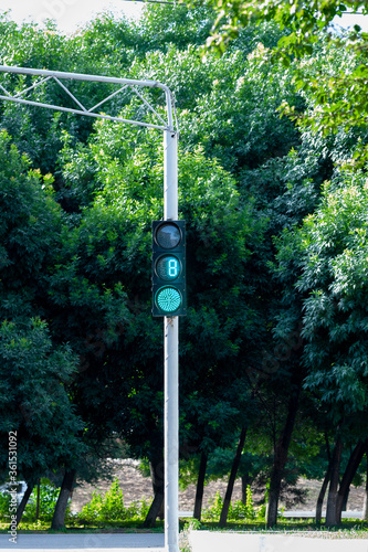 A green traffic light. Street light with stopwatch for drivers and pedestrians. A traffic light with a stopwatch. Road sign.