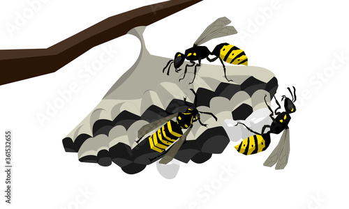 Wasps on the nest vector isolated illustration