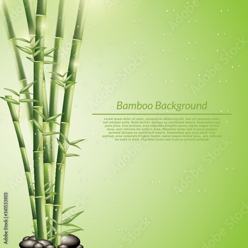 Tableau sur toile Bamboo background