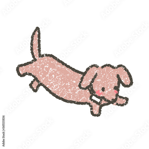 愛犬は家族！ワクチン接種してペット登録しよう