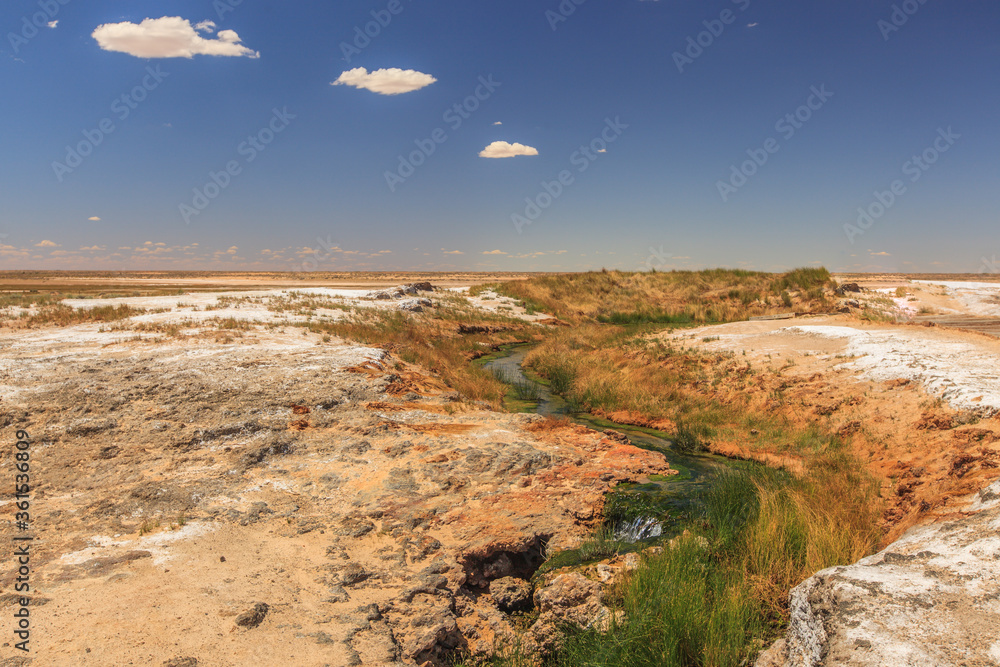 A winding stream in the South Australian desert with green banks emerged in The Bubbler, a source in the Outback of Australia with rock plateaus and a blue sky with sheep clouds