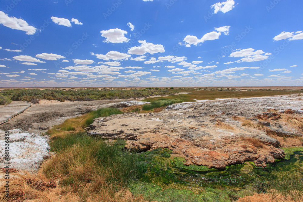 A winding stream in the South Australian desert with green banks emerged in The Bubbler, a source in the Outback of Australia with rock plateaus and a blue sky with sheep clouds