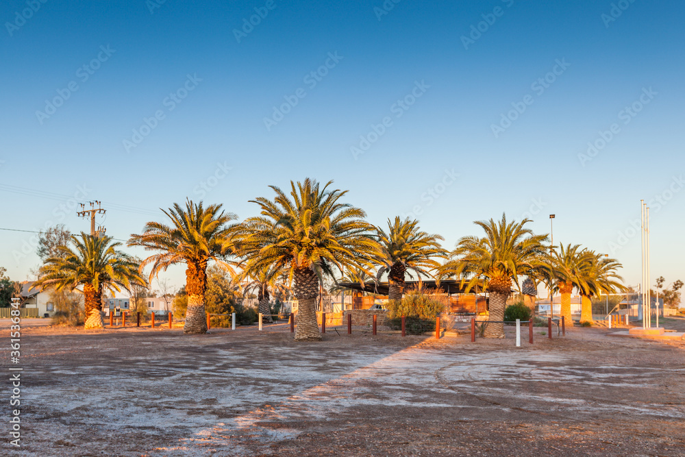 Obraz premium Stations square, Marree, South Australia, Square with palm trees in the light of the rising sun between Maree Hotel and remains of the Old Ghan railway
