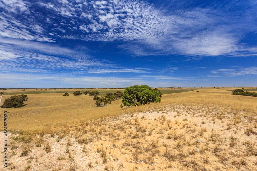 Windy landscape with hills of quartz sand with dry grass, scattered trees and shrubs and veil clouds with blue sky Windy landscape with hills of quartz sand with dry grass, scattered trees and shrubs and veil clouds with blue sky