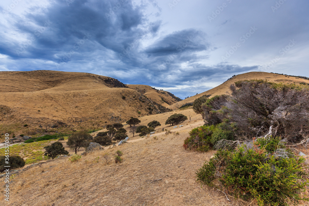Landscape of Blow hole Beach in the Deep Creek Conservation Park, Fleurieu Peninsula, South Australia overlooking the deeply cut mountain slopes with grass and trees