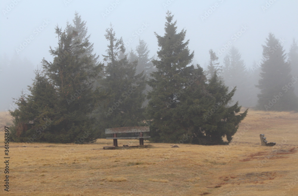 Obraz premium Wooden bench in the fog at the forest
