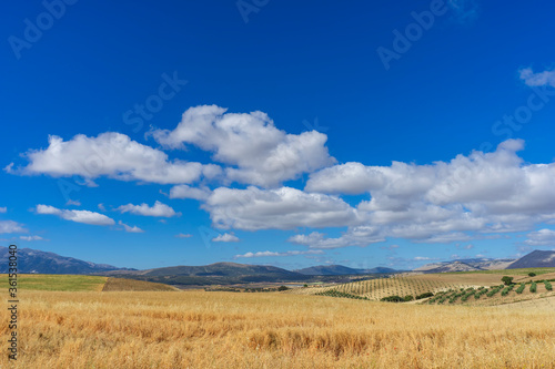 hermoso paisaje de tierras de cultivo en Andalucía, España