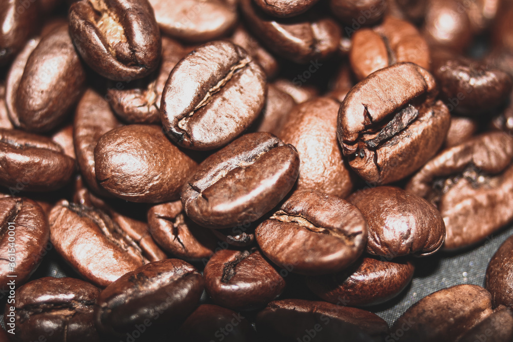 Fototapeta premium coffee beans close up