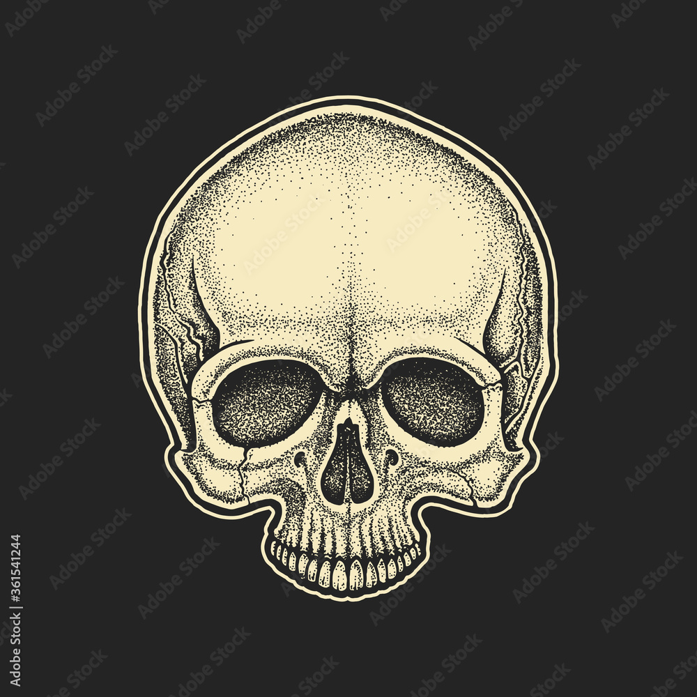 Dotwork styled skull. Hand drawn illustration Dotwork styled skull. Hand drawn illustration