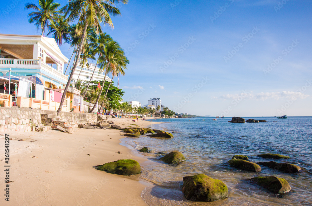 Tropical beach with palm trees and beach