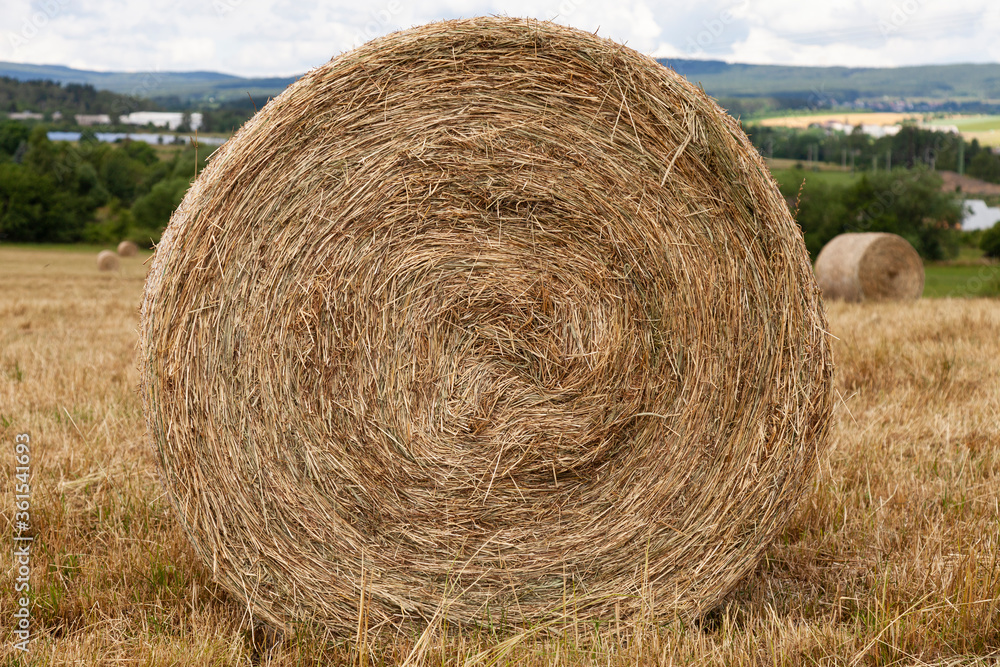 hay bales in a field with blue sky and white clouds hay bales in a field with blue sky and white clouds