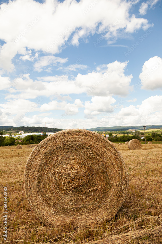 hay bales in a field with blue sky and white clouds hay bales in a field with blue sky and white clouds
