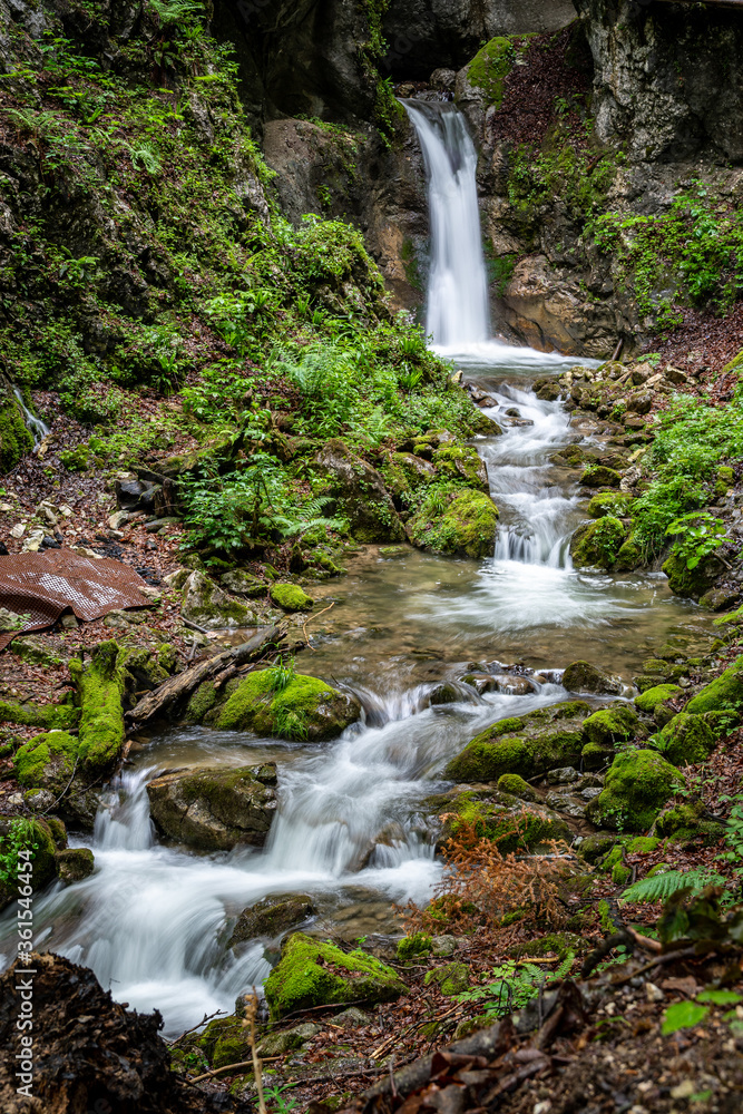 Fototapeta premium Wodospad w wąwozie Dr.-Vogelgesang-Klamm w pobliżu Spital am Pyhrn w Górnej Austrii