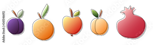 hand drawn in colorful gradient colors plum, orange, apple, apricot, pomegranate fruit with black line silhouette and lines, stock vector illustration clipart template set isolated on white background