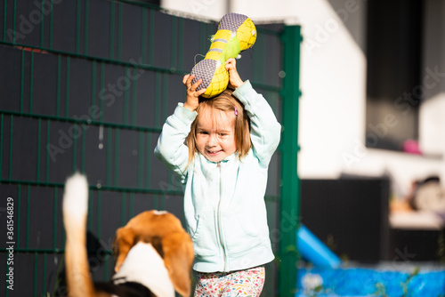 Young 2-3 years old caucasian baby girl playing with beagle dog in garden.
