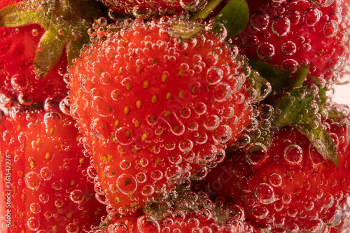 Strawberries in sparkling water  with bubbles