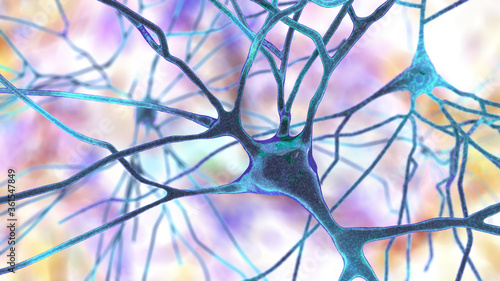 Neurons  human brain cells  3D illustration. Human nervous system