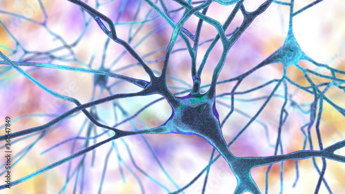 Принти на полотні Neurons, human brain cells, 3D illustration. Human nervous system