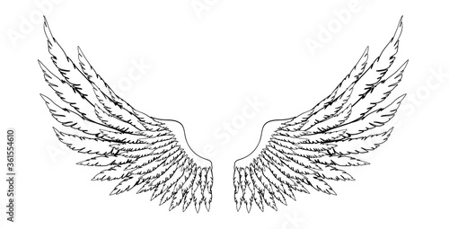 Black and white hand-drawn wings