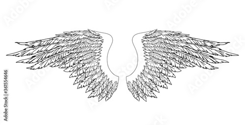 Black and white hand-drawn wings