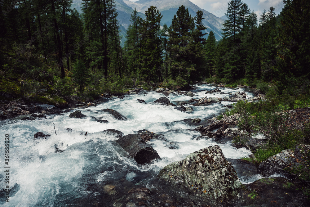 Powerful mountain river flow through forest. Beautiful alpine landscape with azure water in fast river. Frozen motion of mountain river rapids. Power majestic nature of highlands. Aqua turbulence. Powerful mountain river flow through forest. Beautiful alpine landscape with azure water in fast river. Frozen motion of mountain river rapids. Power majestic nature of highlands. Aqua turbulence.