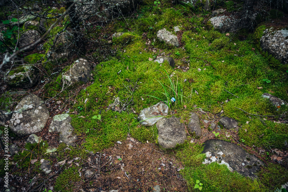 Plastic bottle thrown on moss in forest. Background with garbage in nature. Cause harm to nature. Trash in woods among mosses and stones with lichens. Rubbish among wild flora. Environmental pollution Plastic bottle thrown on moss in forest. Background with garbage in nature. Cause harm to nature. Trash in woods among mosses and stones with lichens. Rubbish among wild flora. Environmental pollution