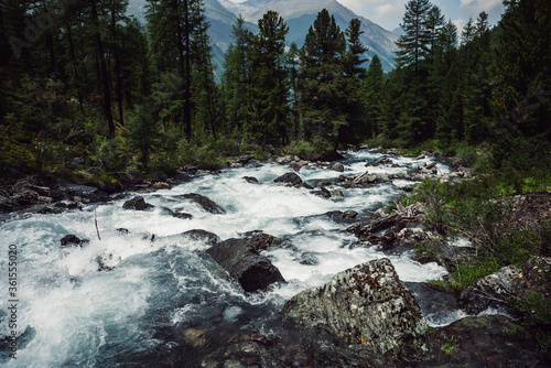 Powerful mountain river flow through forest. Beautiful alpine landscape with azure water in fast river. Frozen motion of mountain river rapids. Power majestic nature of highlands. Aqua turbulence.