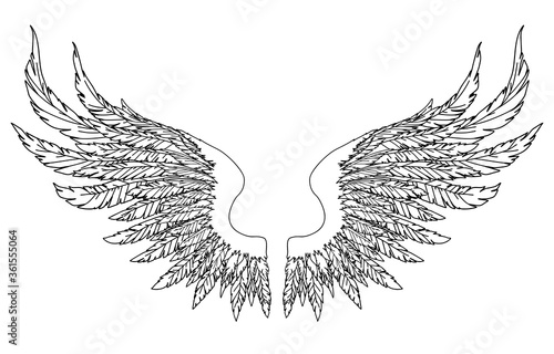 Black and white hand-drawn wings