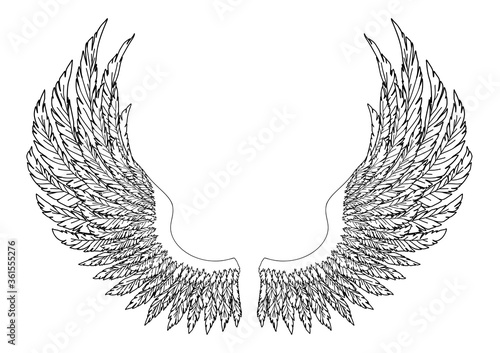Black and white hand-drawn wings