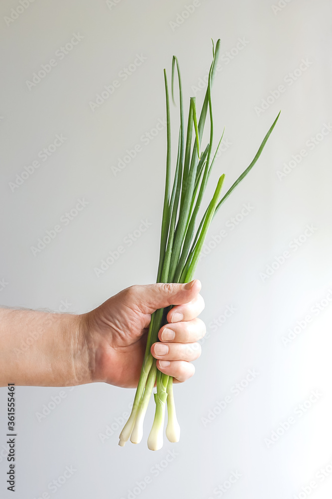 A brutal male hand holds in its fist a plucked juicy green bunch of onions. A brutal male hand holds in its fist a plucked juicy green bunch of onions.
