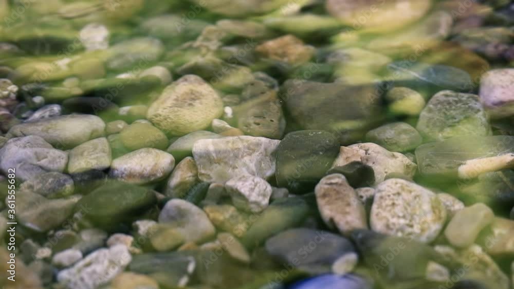 beautiful small rocks in small forest stream beautiful small rocks in small forest stream