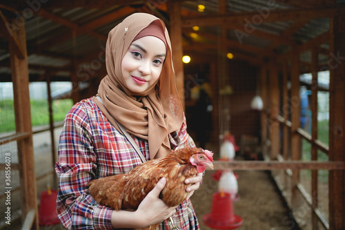 Muslim farmer in the chicken farm holding a chicken, healthy lifestyle and organic farming concept  