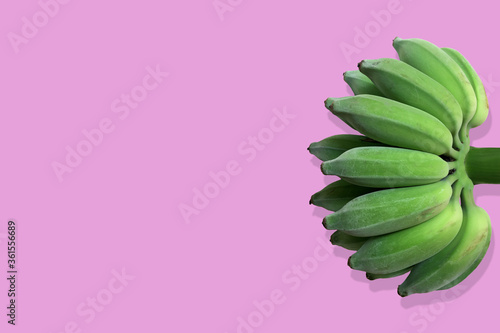 bunch of green bananas isolated on pink background © paspas