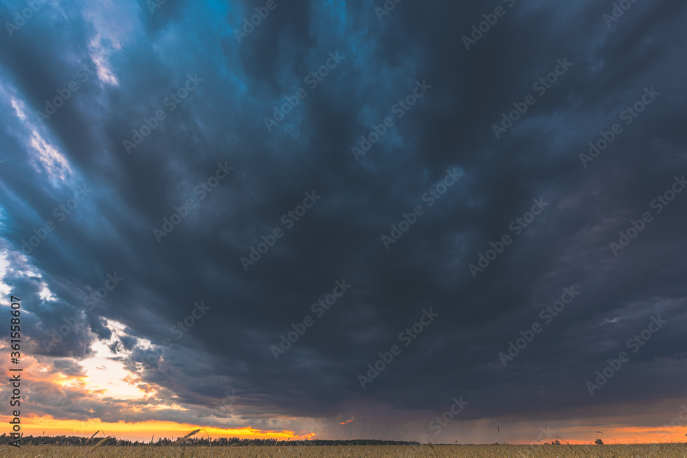 Summer Rainy Sunset Evening Above Wheat Field Landscape. Scenic Dramatic Sky With Rain Clouds. Agricultural And Weather Forecast Concept