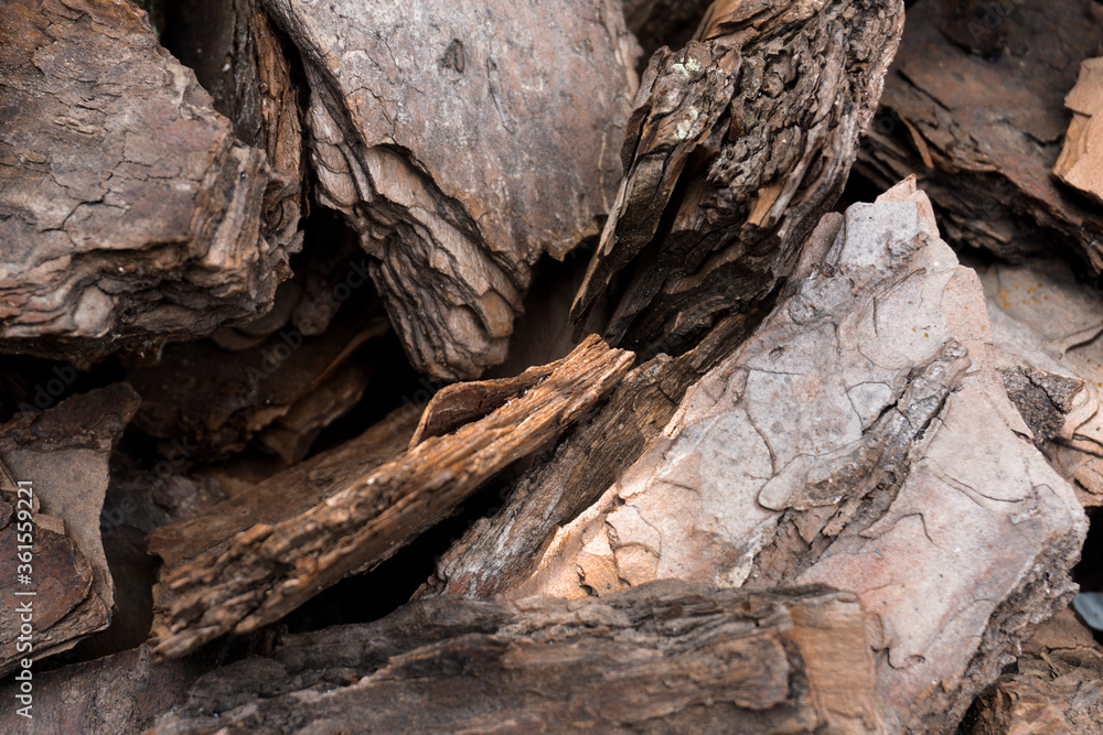 Crushed tree bark texture background closeup.Pieces of trunk. Old tree bark background or texture.Shredded brown tree bark for decoration Crushed tree bark texture background closeup.Pieces of trunk. Old tree bark background or texture.Shredded brown tree bark for decoration