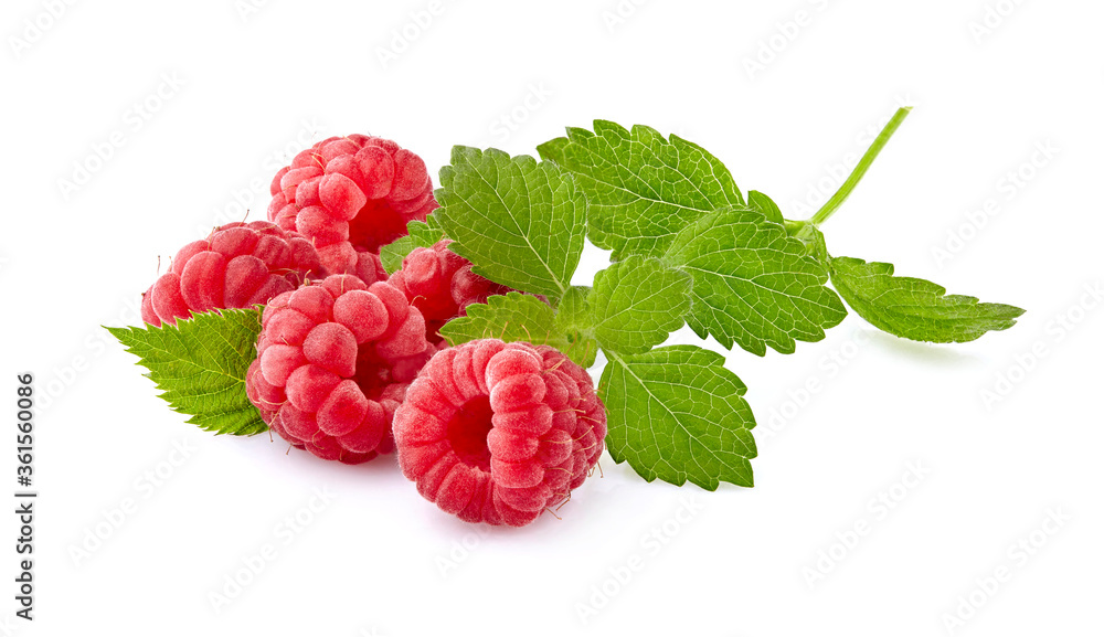 Juicy raspberry with leaves of mint. Raspberries Isolated on White Background. Ripe berries isolated. Juicy raspberry with leaves of mint. Raspberries Isolated on White Background. Ripe berries isolated.