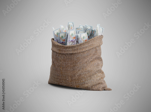 3d rendering bag of money on gray background with shadow