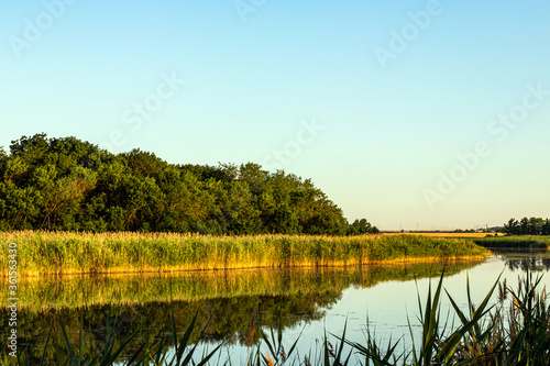 Fototapeta Naklejka Na Ścianę i Meble -  Sunny day on a calm river in summer