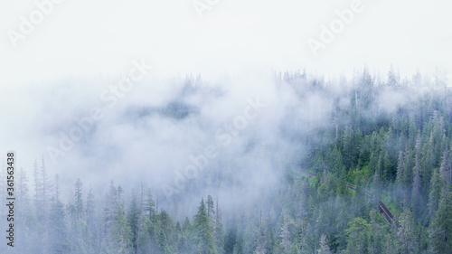 Misty mountains with forest road