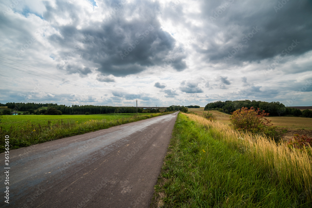 Road in a field under thunder clouds.