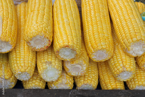 Newly harvested corn and sold in traditional markets